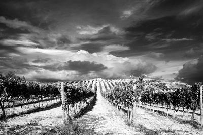 Photographic Print, , small