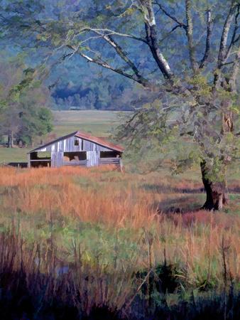 Photographic Print, , small