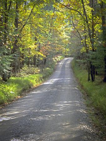 Photographic Print, , small