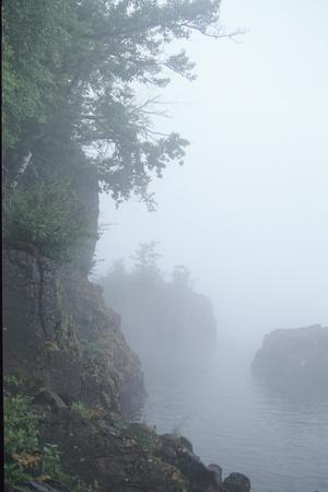 Photographic Print, , small