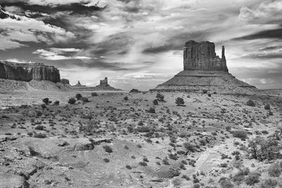 Photographic Print, , small