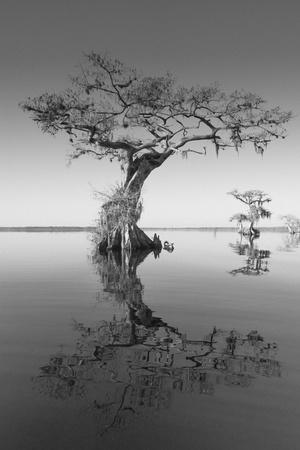 Photographic Print, , small
