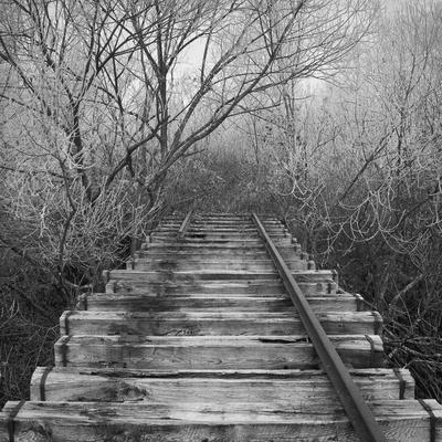Photographic Print, , small