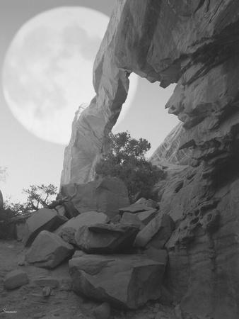 Photographic Print, , small