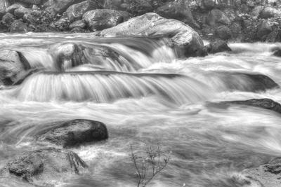 Photographic Print, , small