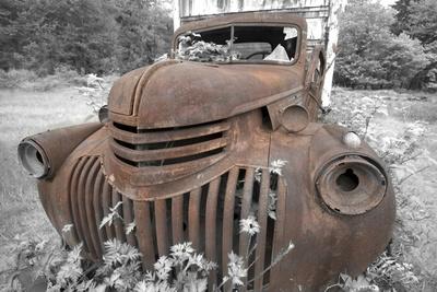 Photographic Print, , small