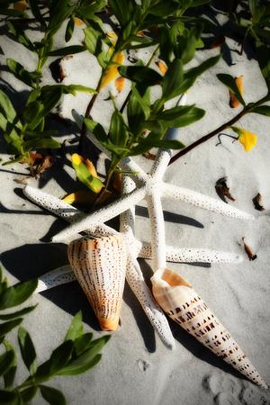 Photographic Print, , small