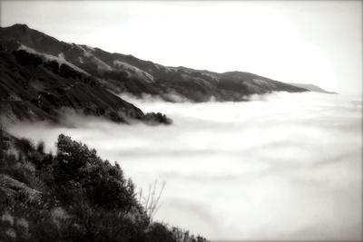 Photographic Print, , small