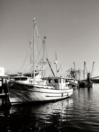 Photographic Print, , small