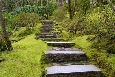 Photographic Print, , small