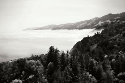 Photographic Print, , small