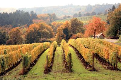 Photographic Print, , small