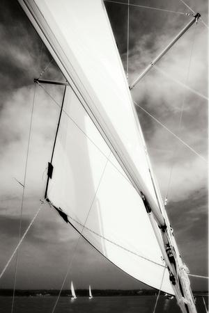 Photographic Print, , small