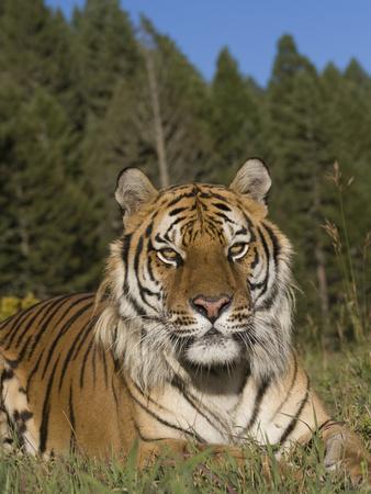 Photographic Print, , small