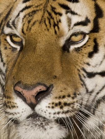 Photographic Print, , small