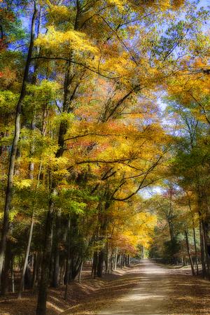 Photographic Print, , small