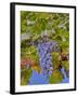 Cougar Winery Grapes II-Lee Peterson-Framed Photographic Print