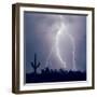 Electric Desert III-Douglas Taylor-Framed Photographic Print