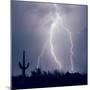 Electric Desert III-Douglas Taylor-Mounted Photographic Print