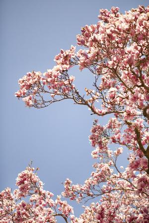 Photographic Print, , small