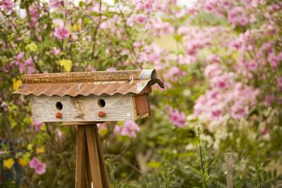 Photographic Print, , small