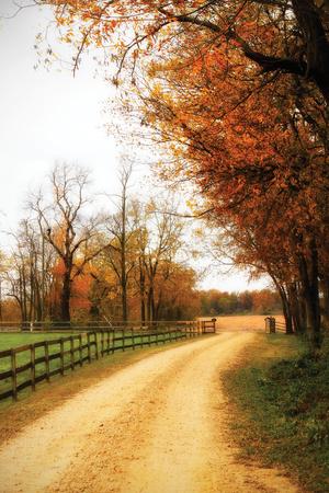 Photographic Print, , small