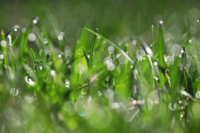 Photographic Print, , small