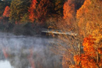 Photographic Print, , small