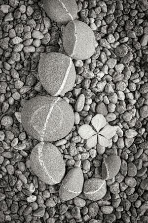 Photographic Print, , small