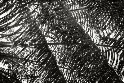 Photographic Print, , small
