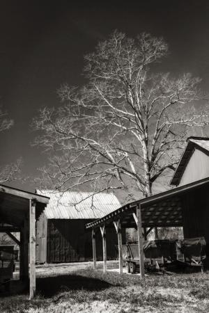 Photographic Print, , small