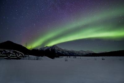 Photographic Print, , small