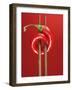 A Chili on Chopsticks-Marc O^ Finley-Framed Photographic Print