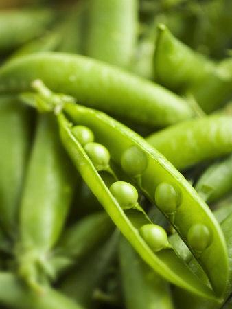 'Pea Pods, One Open' Photographic Print - Greg Elms | AllPosters.com