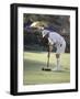 A Game of Croquet-null-Framed Photographic Print