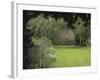 Brick Wall in Garden-null-Framed Photographic Print