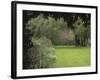 Brick Wall in Garden-null-Framed Photographic Print