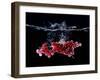 Redcurrants Falling into Water-Hermann Mock-Framed Photographic Print