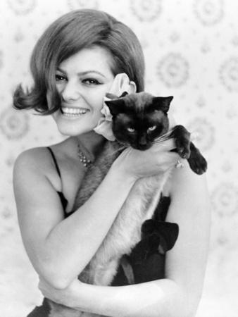 Photographic Print, , small