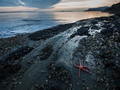 Photographic Print, , small