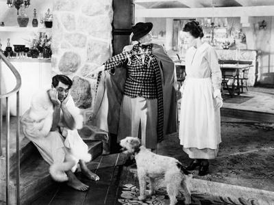 Photographic Print, , small