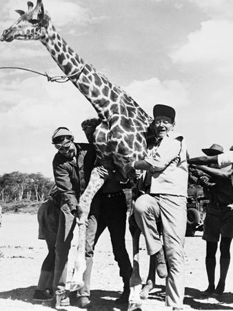 Photographic Print, , small