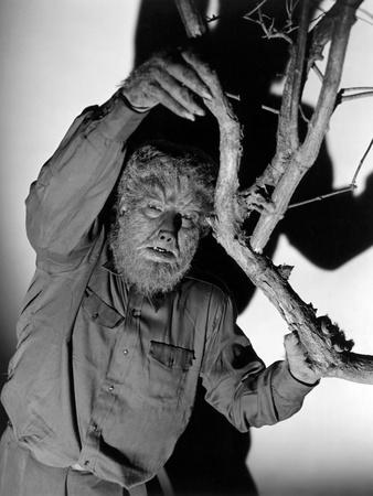 Photographic Print, , small