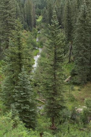 Photographic Print, , small