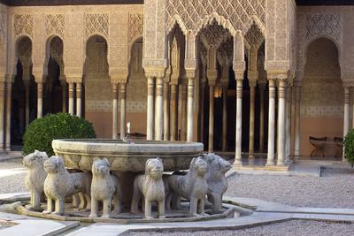 Photographic Print, , small