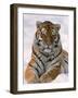 Siberian Tiger in Snow, Panthera Tigris Altaica-Lynn M^ Stone-Framed Photographic Print