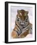 Siberian Tiger in Snow, Panthera Tigris Altaica-Lynn M^ Stone-Framed Photographic Print