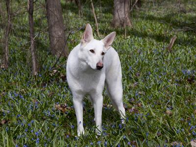 Photographic Print, , small