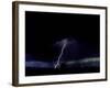 Lightning Storm, Boulder-Michael Brown-Framed Photographic Print