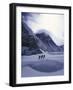 Mountain Halo, Everest-Michael Brown-Framed Photographic Print